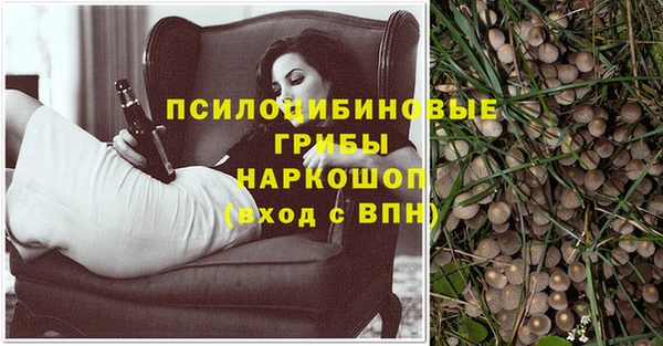 спайс Баксан
