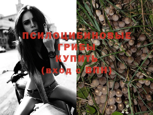 спайс Балабаново