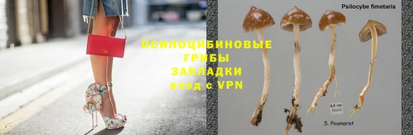 гидропоника Балахна